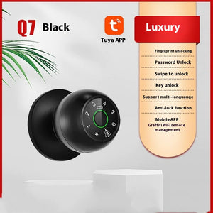 SecureAccess Smart Lock