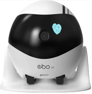 Smart Companion Robot Camera